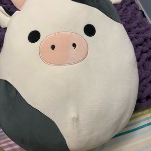 16” Connor Cow Squishmallow BNWT